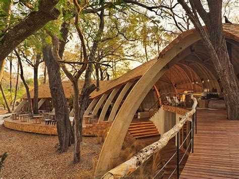 sandibe okavango safari lodge botswana goafricacom safari lodge