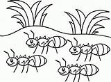 Coloring Pages Ant Grasshopper Ants Marching Popular sketch template