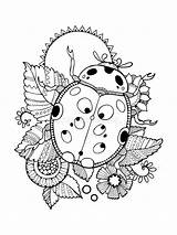 Coccinella Vectorillustratie Kleurende Illustratie Vettore Libro Tattoo sketch template