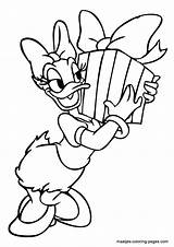 Daisy Duck Coloring Pages Christmas Valentines Kids Birthday Disney Colouring Color Minnie Present Mouse Mickey Searches Recent Library Yahoo Doghousemusic sketch template