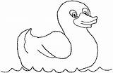 Coloring Ducky Rubber Swimming sketch template