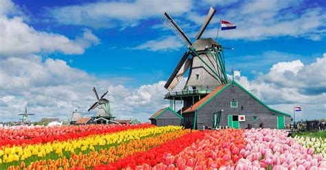 dutch windmills attractions and sightseeing in the netherlands