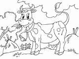 Vaca Animales Granja Cancion Tortas Vaquitas Quierocakes Paracolorear Zenon Genial Cumple Helvania sketch template