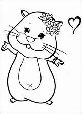 Coloring Hamster Pages Cute Comments sketch template