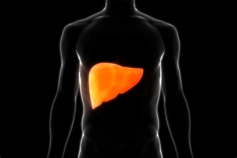 What Is Non Alcoholic Fatty Liver Disease