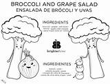 Brighter Broccoli Outlooks sketch template