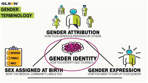 Webinar Making Room For Gender Diversity In School Health Services