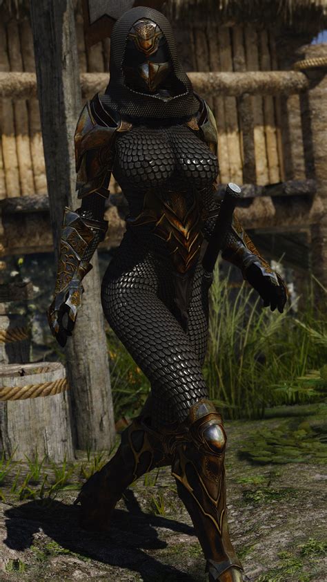 [search] looking this armor request and find skyrim non adult mods