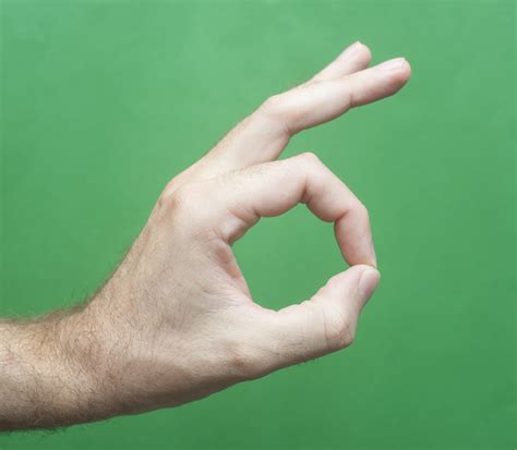 image  conceptual man hand showing  sign freebiephotography