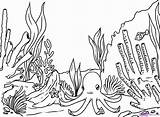 Seaweed Outline Coloring Coral Choose Board Reef sketch template