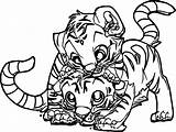 Tiger Coloring Baby Pages Tigers Tooth Cheetah Printable Cub Saber Color Drawing Cartoon Cute Detroit Two Print Bengal Draw Lsu sketch template