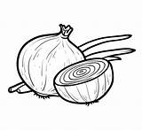 Zwiebel Grafiken Vektoren Onion sketch template