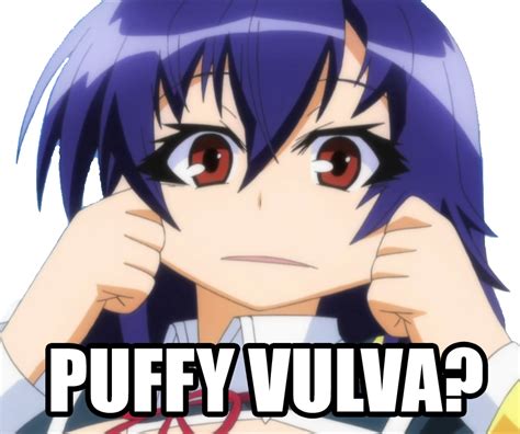 Puffy Medaka Puffy Vulva Know Your Meme