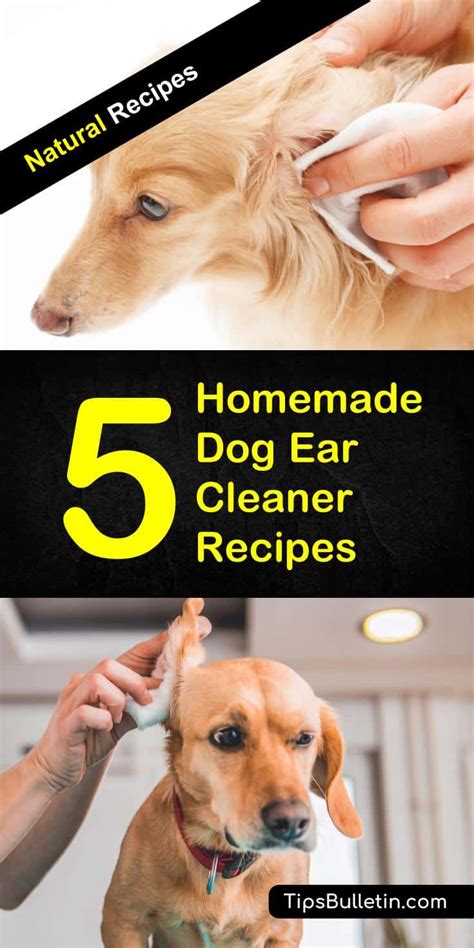 homemade dog ear cleaner recipes