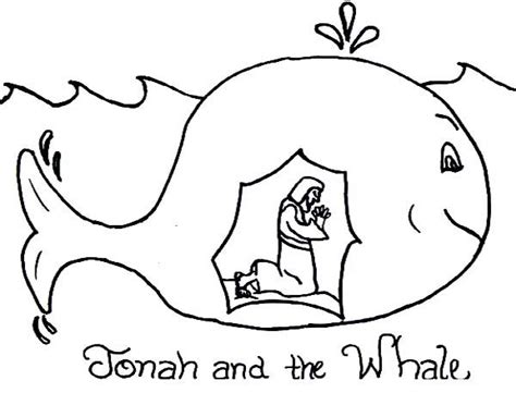 story  jonah   whale coloring page whale coloring pages