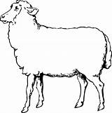 Sheep Clipart Lamb Drawing Animals Line Animal Farm Clip Coloring Choose Board sketch template