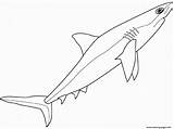 Shark Coloring Animals Pages Sea Kids Great Printable Outline Easy Info Color Xcolorings Popular sketch template