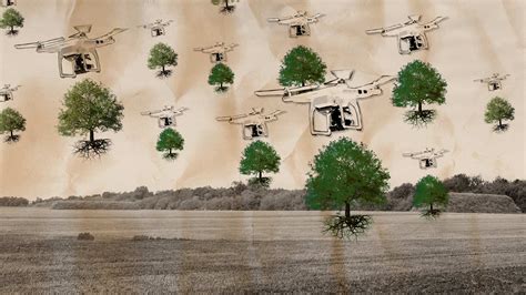 tree planting drones restore charred forests