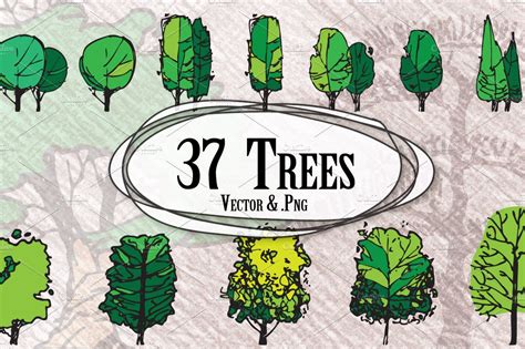 trees  elevation illustrator graphics creative market