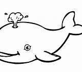 Whale Octonauts Bowhead sketch template