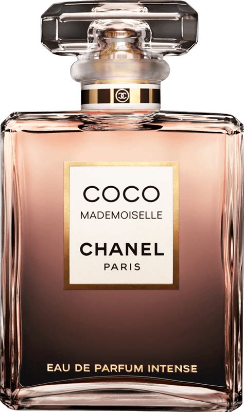 coco chanel png images transparent   pngmart
