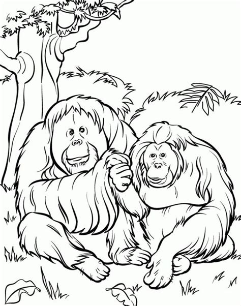 printable coloring pages  zoo animal