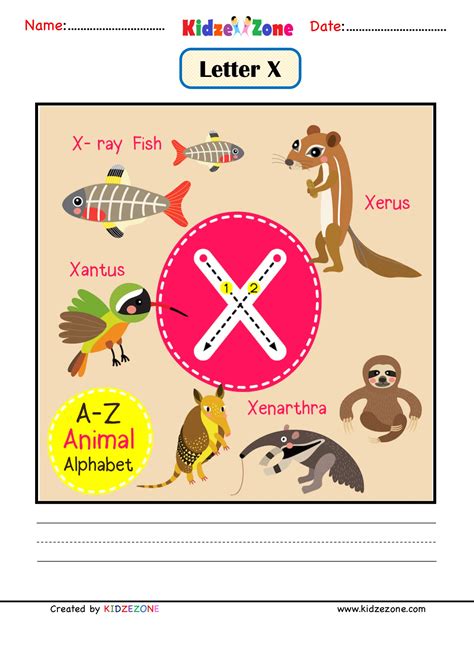 kindergarten letter  animal picture cards worksheet