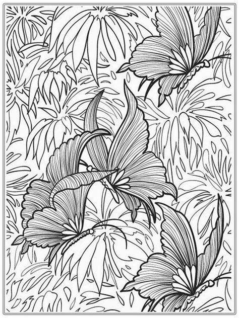 adult coloring pages butterfly realistic coloring pages aaa color