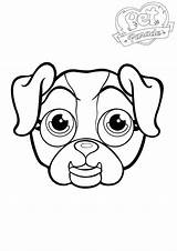 Collie Coloring Pages Border Getcolorings sketch template