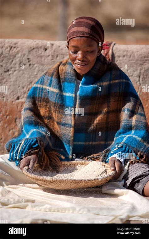 Old African Woman Grinding Sorghum In A Traditional Way In Botswana