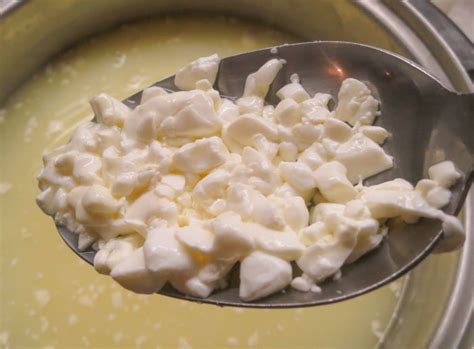 cottage cheese recipe dry curd cottage cheese recipes dry cottage