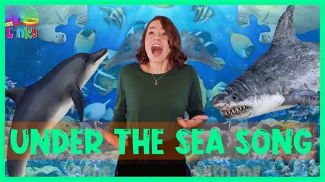 sea song  kids sea animals song  children learn