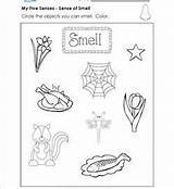 Smell Senses sketch template
