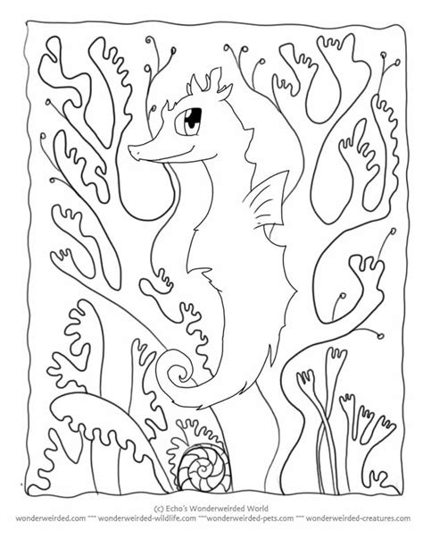 camouflage coloring pages coloring home