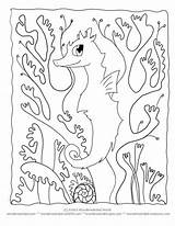 Camouflage Seaweed Seepferdchen Bat Seahorse Jungle Seahorses Coloringhome License Insertion Codes sketch template