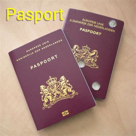 passport sin pasport mi  por biaha   passport   travel visit