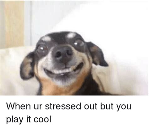 when ur stressed out but you play it cool funny meme on sizzle