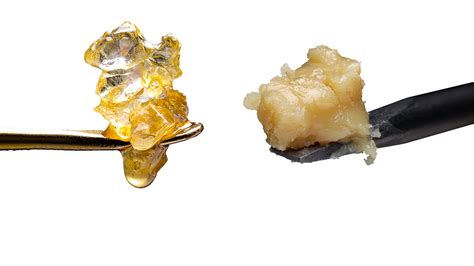 rosin   resin differences  extraction explained