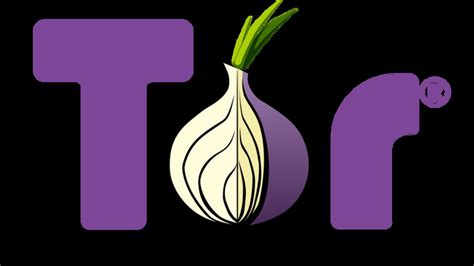 discover the intriguing world of tor s dark web with cocorico link
