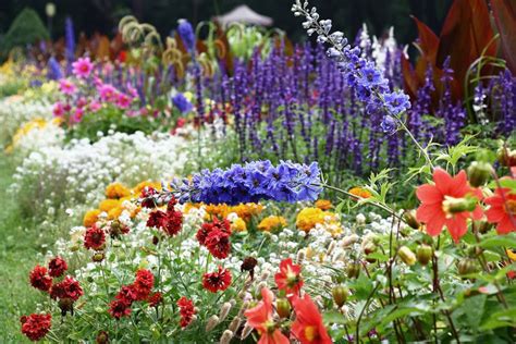 tips voor bloembollen planten  de tuin allinmamcom