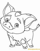 Moana Coloring Pages Pua Pig Baby Disney Piggy Miss Color Cute Drawing Printable Guinea Kids Picturethemagic Maui Disneyclips Print Realistic sketch template