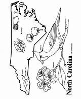 Carolina Coloring North Pages State Map Symbols Nc Unc Outline Printables Printable Kids Color Clipart Bird Print Shape States Usa sketch template