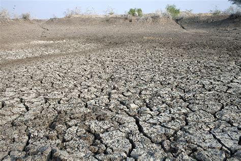 East Africa Drought In Pictures Global Development The Guardian