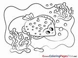 Scat Sheet Colouring Coloring Pages Title sketch template