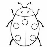 Coloring Pages Insect Realistic Julia Printable Getcolorings Insects Color Colo sketch template
