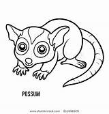 Opossum Coloring Possum Pages Colouring Australian Getcolorings Getdrawings sketch template