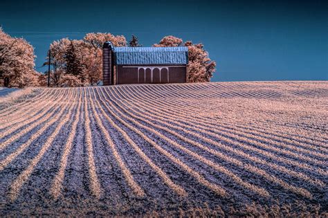 Rows In A Farm Field With Barn And Silo In Infrared