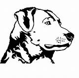 Chesapeake Retriever Sticker Chessie Waterfowldecals sketch template