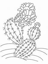Cactus Coloring Pages Saguaro Printable Color Flower Kids Print Getdrawings Getcolorings Recommended sketch template