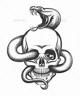 Snake Skull Drawing Cobra Head Vector Clipart Human Illustration Engraving Drawings Serpent Dessin Tattoo Skulls Crawling Outline Royalty Graphicriver Style sketch template